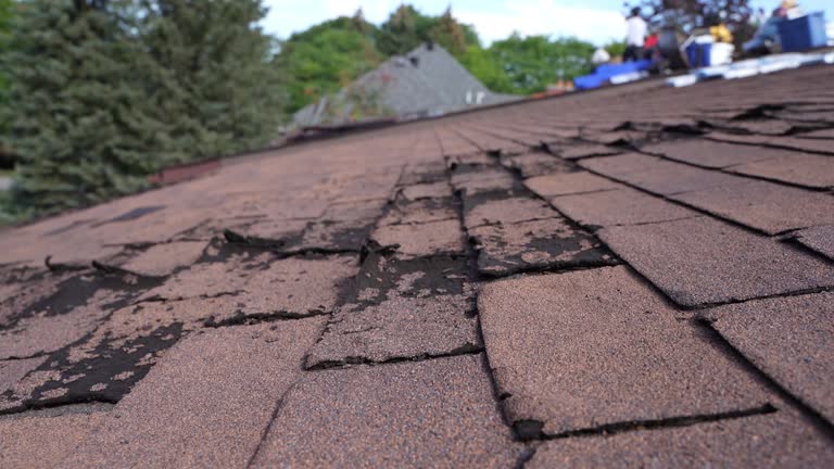 Best Steel Roofing  in Boswell, PA